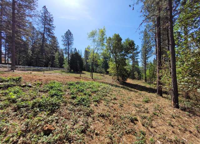 Property at 13560 Hopeful Hill Rd, Nevada City, CA 95959