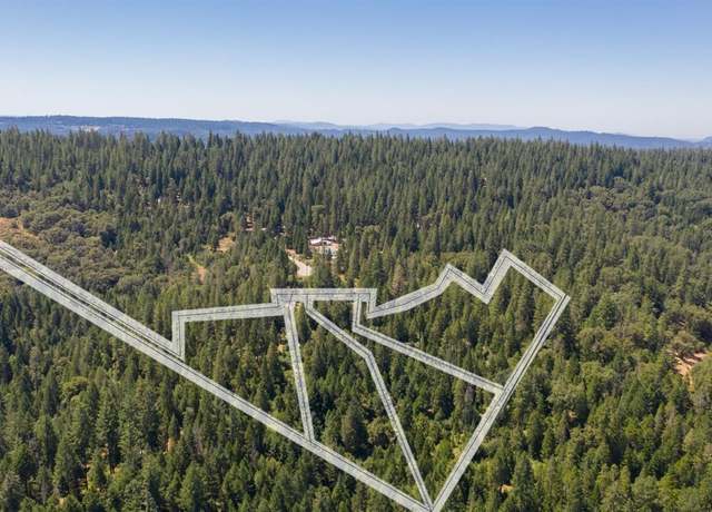 Property at 19350 Tyleranne Ln, Volcano, CA 95689