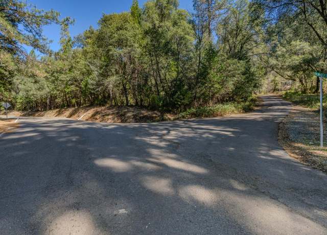 Property at 0 Spagnoli Mine, Pine Grove, CA 95665