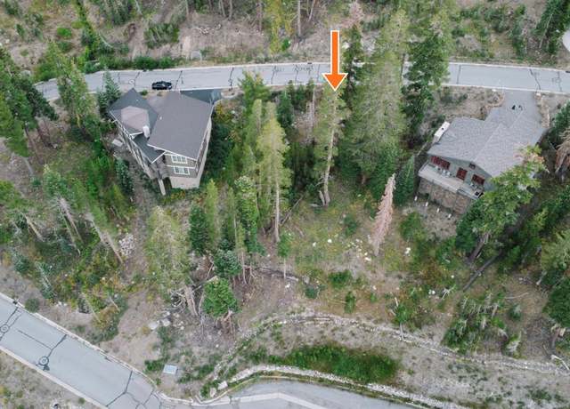 Property at 0 Palisades Dr, Kirkwood, CA 95646
