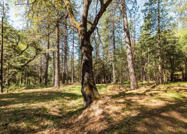 Property at 14737 Big Hill Rd, Sonora, CA 95370