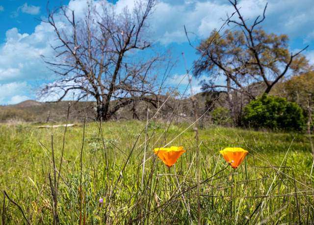 Property at 540 Music Gulch Rd, Mokelumne Hill, CA 95245