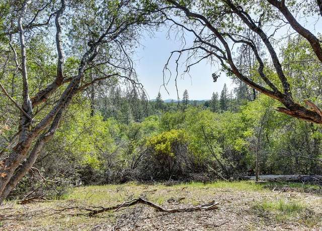Property at 10 Yellow Brick Rd, Garden Valley, CA 95633