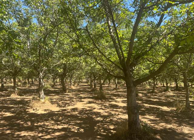 Property at 456 Justeson Ave, Gridley, CA 95948