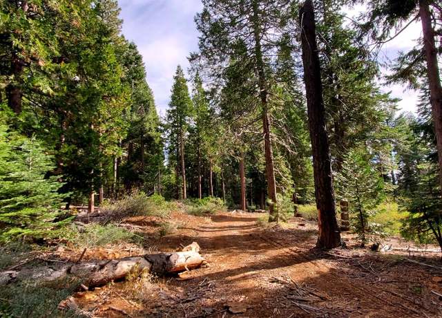 Property at 0 Buckthorne Ln, Nevada City, CA 95959