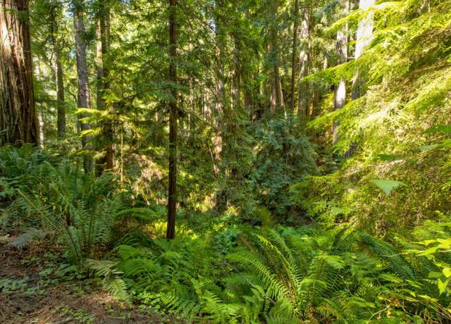 Property at 33170 Frog Pond Rd, Little River, CA 95456
