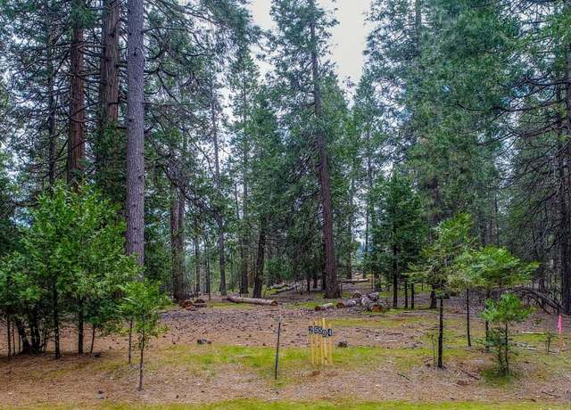 Property at 25594 Overland Dr, Volcano, CA 95689
