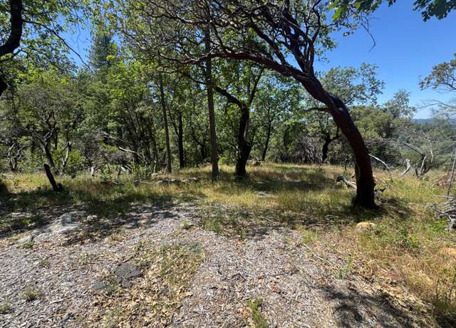 Property at 0 Mcelroy, Meadow Vista, CA 95722
