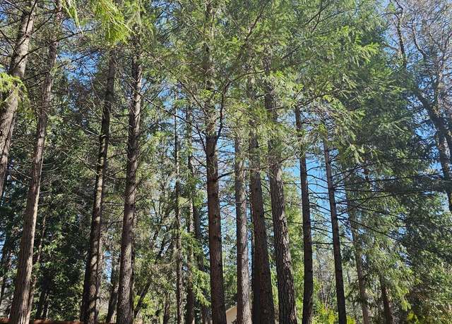 Property at 19344 Louis Rd, Grass Valley, CA 95945