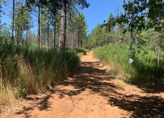 Property at 11880 Lost Ranch Way, Nevada City, CA 95959