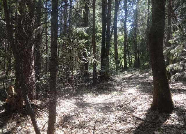 Property at 13802 Red Dog Rd, Nevada City, CA 95959