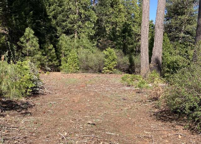 Property at 850 Sugar Pine Rd, Alta, CA 95701