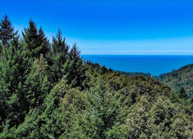 Property at 91 Walker Way, Whitethorn, CA 95589