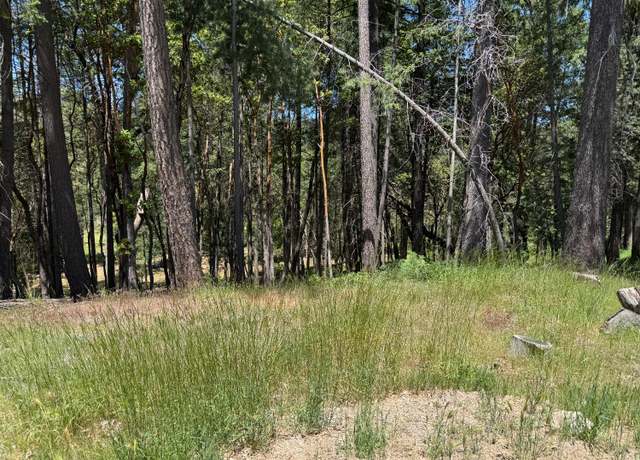 Property at 20955 Todd Valley Rd, Foresthill, CA 95631