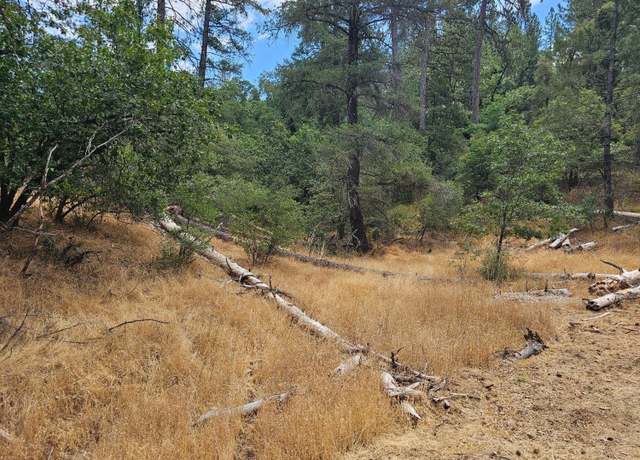 Property at 0 Sun Valley Rd, Weimar, CA 95736