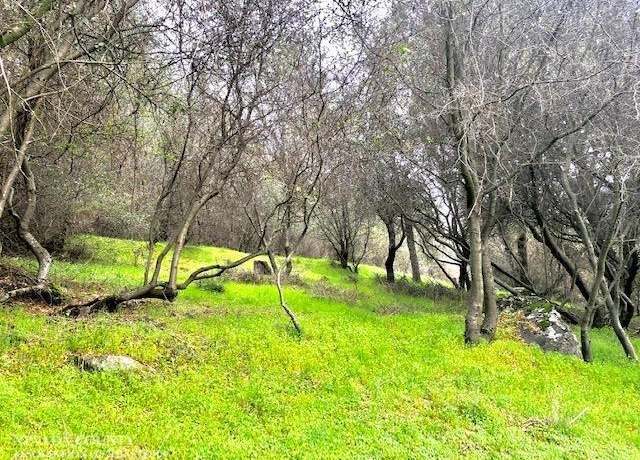 Property at 14344 Lake Wildwood Dr, Penn Valley, CA 95946