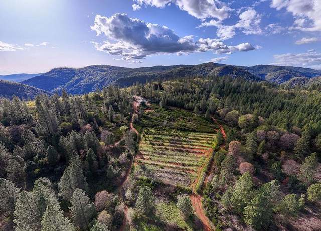 Property at 10571 Sebastopol Rd, North San Juan, CA 95960