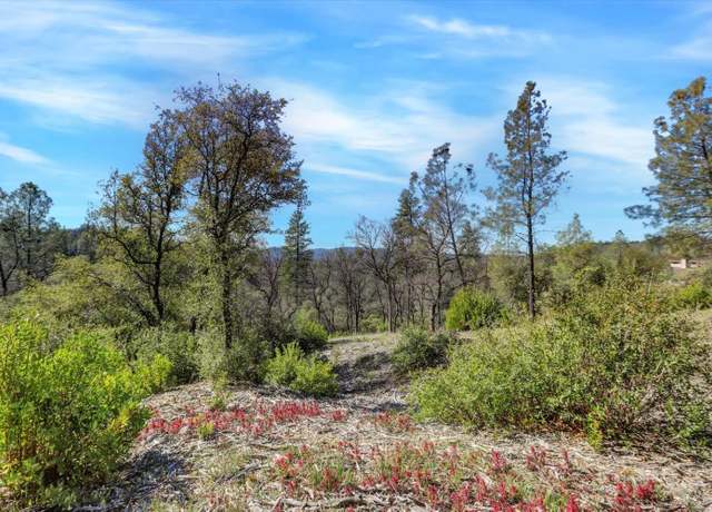 Property at 10530 Grubstake Trl, Rough And Ready, CA 95975
