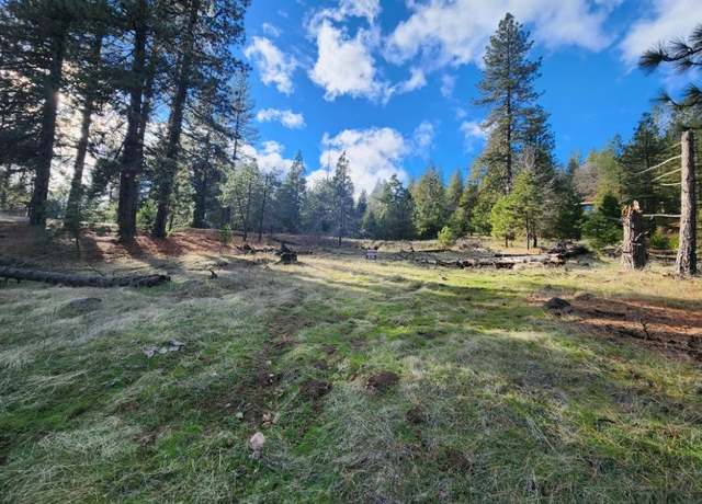 Property at 0 Manzanita Way, Pioneer, CA 95666