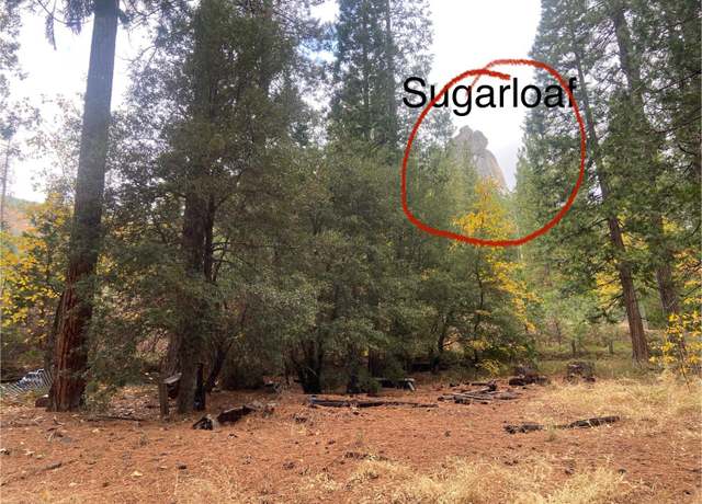Property at 0 Pickwick, Kyburz, CA 95720