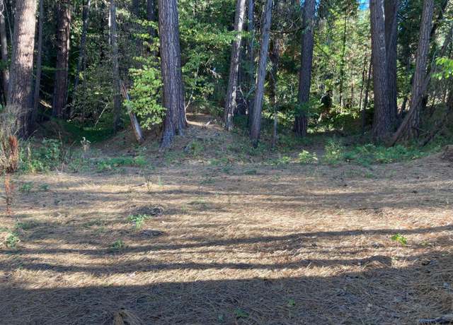 Property at 506 Silva Ave, Nevada City, CA 95959