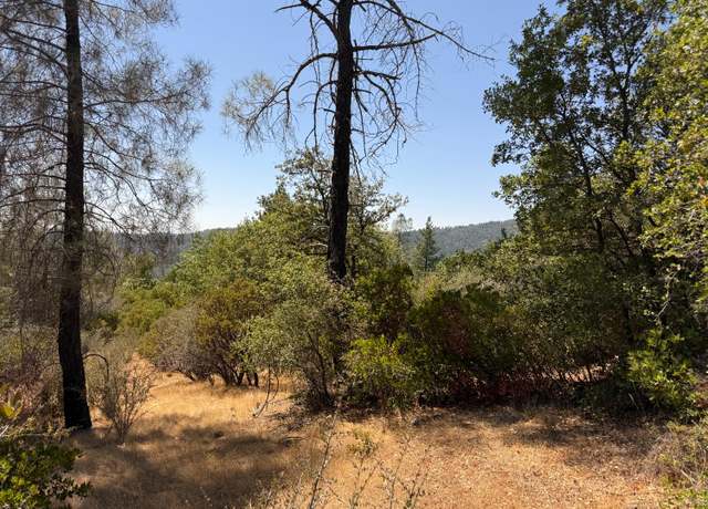 Property at 14973 La Place Ln, Dobbins, CA 95935