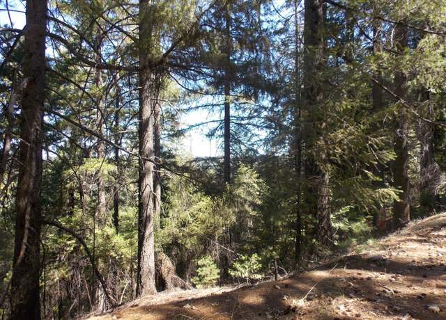 Property at 26311 Shake Ridge Rd, Volcano, CA 95689