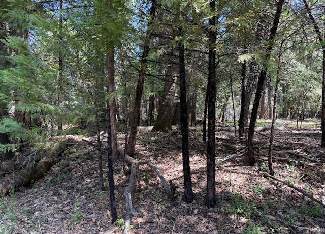 Property at 0 Timberland, Foresthill, CA 95631