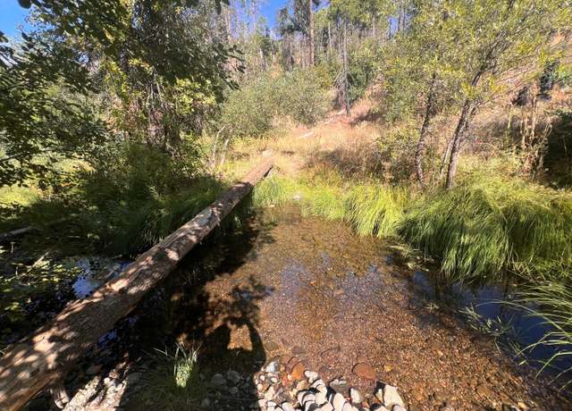Property at 7061 Cedar Springs Rd, Mountain Ranch, CA 95246