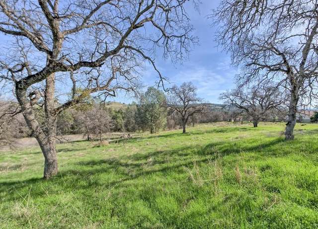 Property at 668 Murphys Grade Rd, Angels Camp, CA 95222