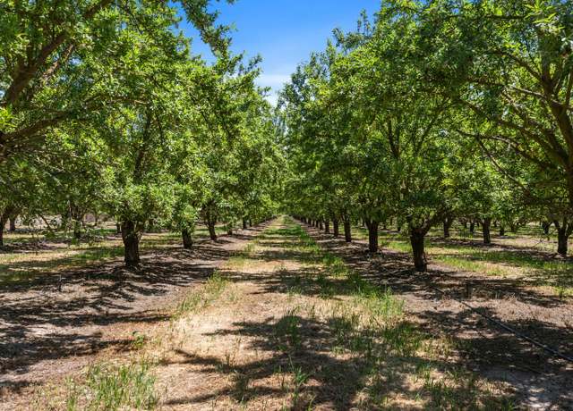 Property at 16161 S Murphy Rd, Escalon, CA 95320