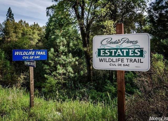 Property at 30 Wildlife Trl, Fiddletown, CA 95629