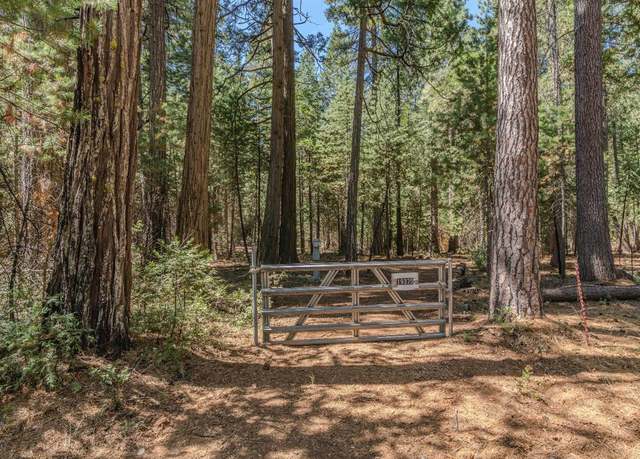 Property at 19375 Cherokee Ln, Volcano, CA 95689