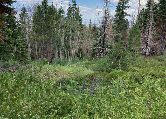 Property at 0 Poor Boy Rd, Markleeville, CA 96120