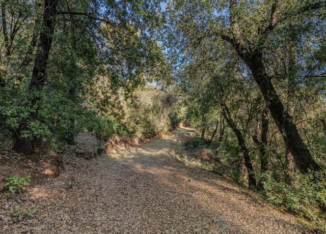 Property at 14238 Sutter Highlands Dr, Sutter Creek, CA 95685