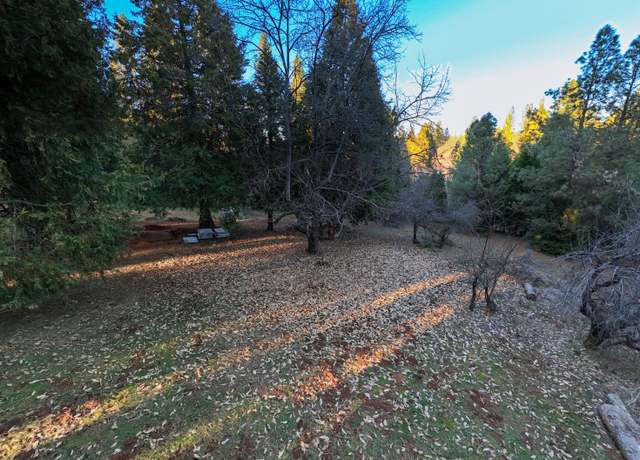 Property at 202 Gold Flat Rd, Nevada City, CA 95959