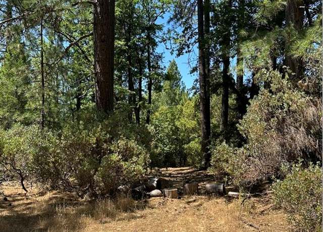 Property at 16634 Cooper Rd, Nevada City, CA 95959