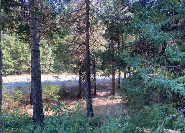 Property at 0 Gold Ridge Trl, Pollock Pines, CA 95726