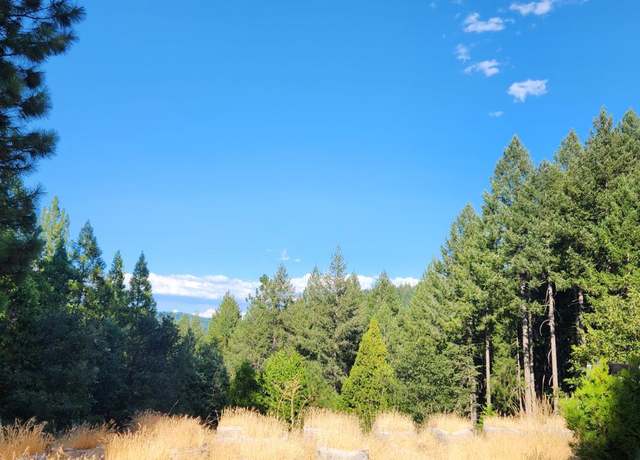 Property at 20392 Madrone Spgs, Nevada City, CA 95959