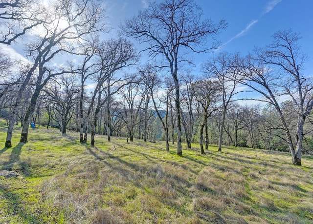 Property at 7411 Riverbend Dr, Placerville, CA 95667