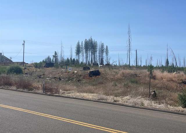 Property at 10141 Grizzly Flat Rd, Grizzly Flats, CA 95636