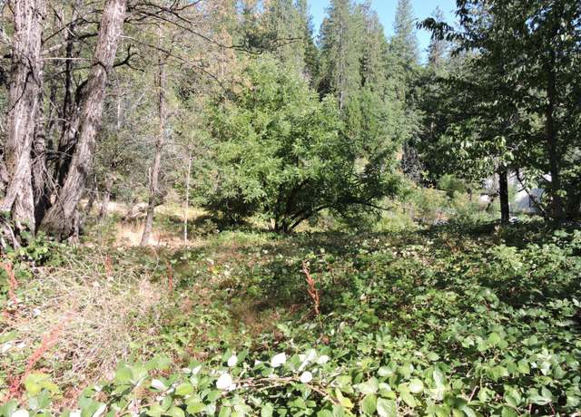 Property at 0 Main St, Dutch Flat, CA 95714