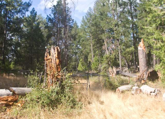 Property at 4801 Coyoteville, Fiddletown, CA 95629