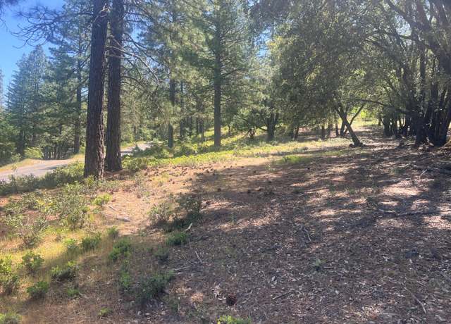 Property at 10311 Ponderosa Way, Pine Grove, CA 95665