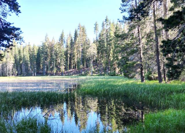 Property at 0 Forest 41 Rd, Soda Springs, CA 95728