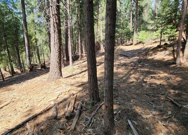 Property at 0 Juarez Rd, Pollock Pines, CA 95726