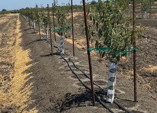 Property at 0 W Clarksburg Rd, Clarksburg, CA 95612