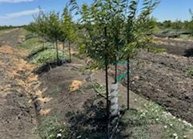 Property at 0 W Clarksburg Rd, Clarksburg, CA 95612