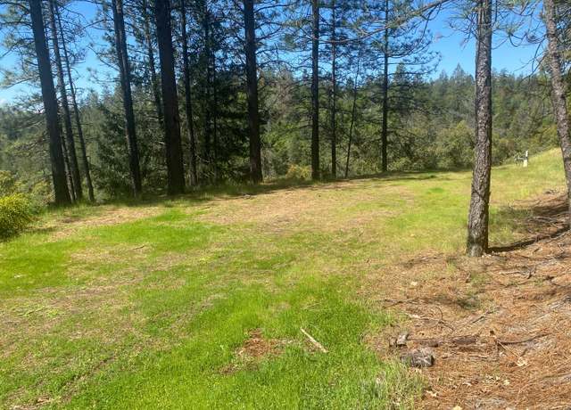 Property at 20931 Suncrest Dr, Colfax, CA 95713