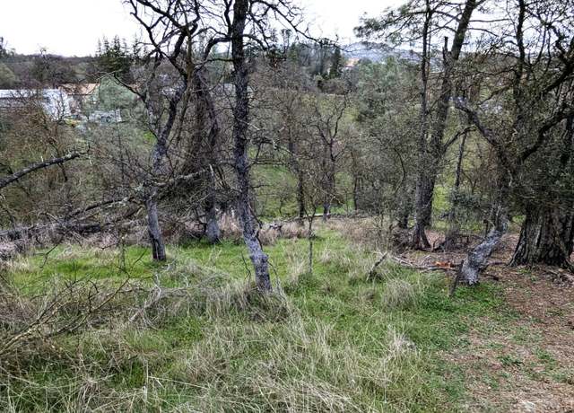 Property at 4569 Tomahawk Trl, Copperopolis, CA 95228